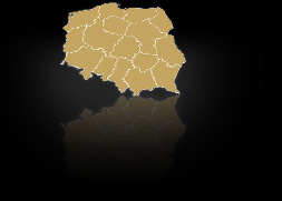 Znajdź partnerów